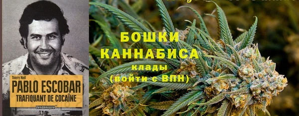 PSILOCYBIN Алексеевка