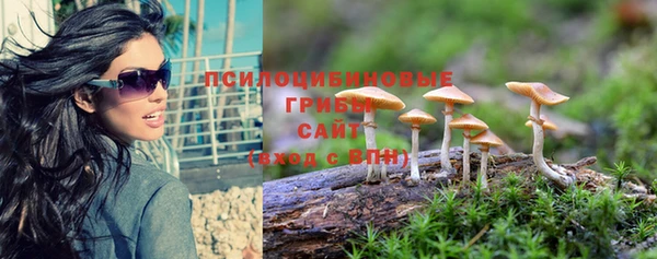 PSILOCYBIN Алексеевка