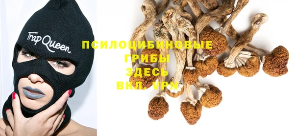 PSILOCYBIN Алексеевка